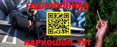 винт Славгород