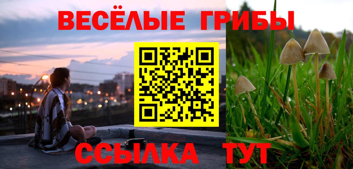 Отрадное  Галлюциногенные грибы ЛСД  Вход с VPN 